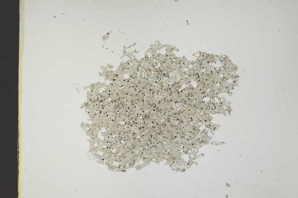 Plane Polarized, S12083