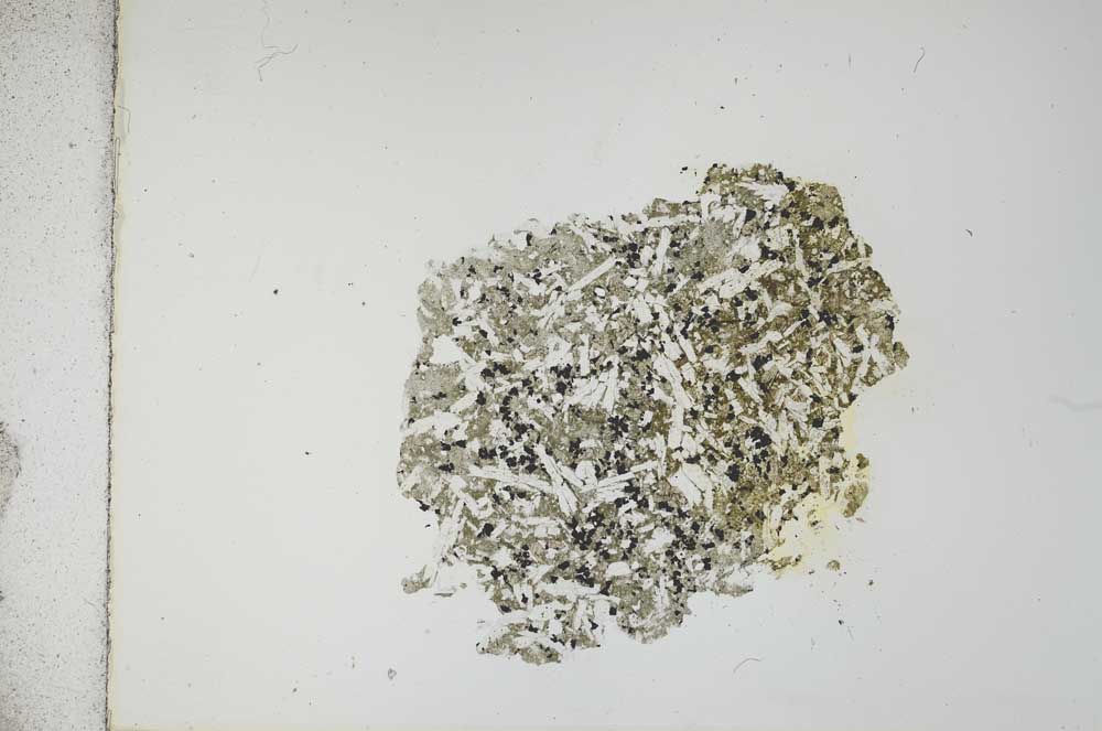 Plane Polarized, S12086