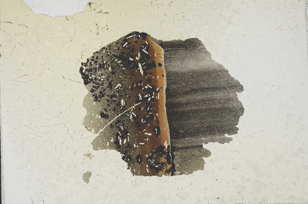 Plane Polarized, S12087