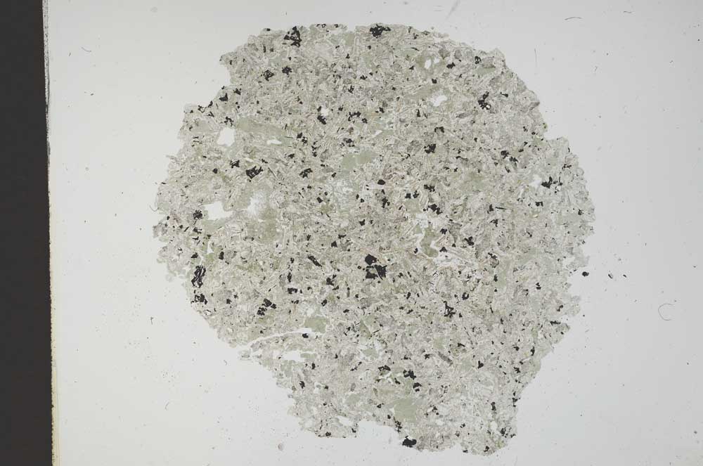 Plane Polarized, S12099