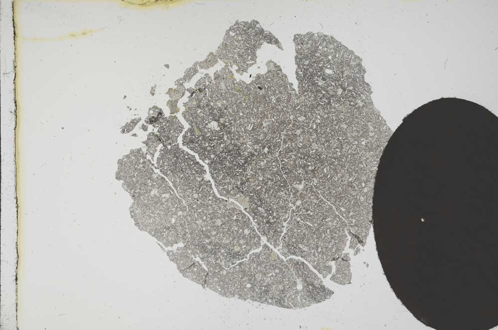 Plane Polarized, S12100