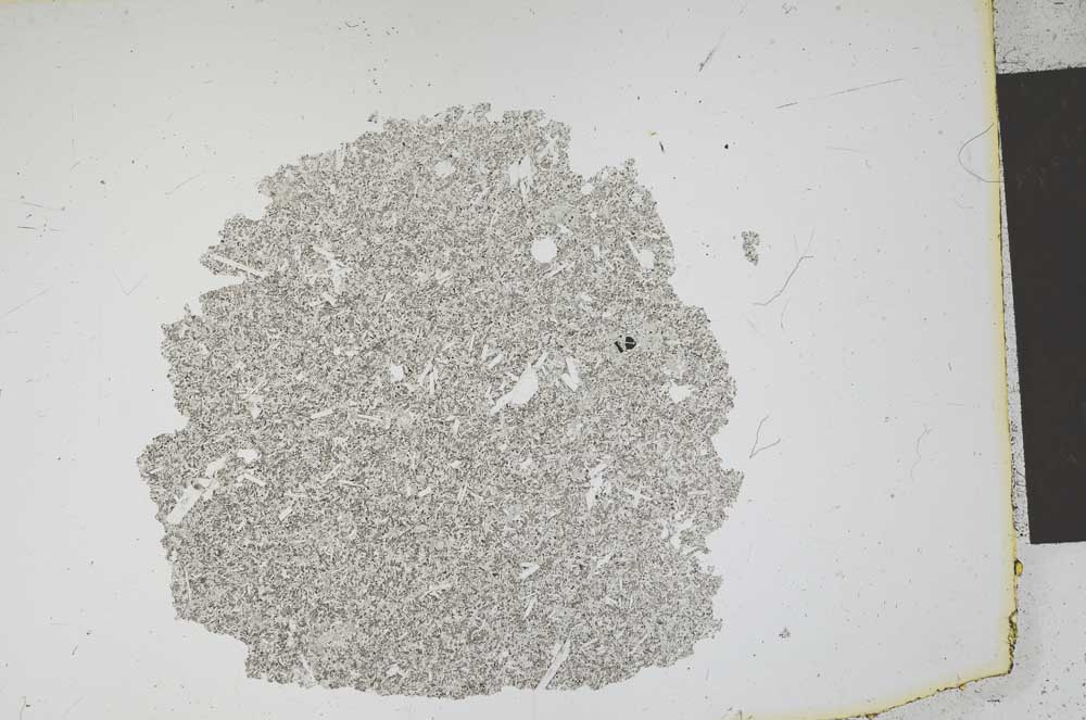 Plane Polarized, S12103