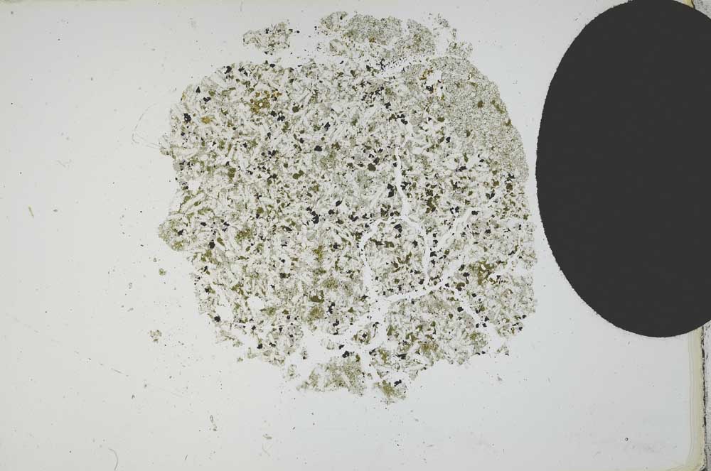 Plane Polarized, S12113