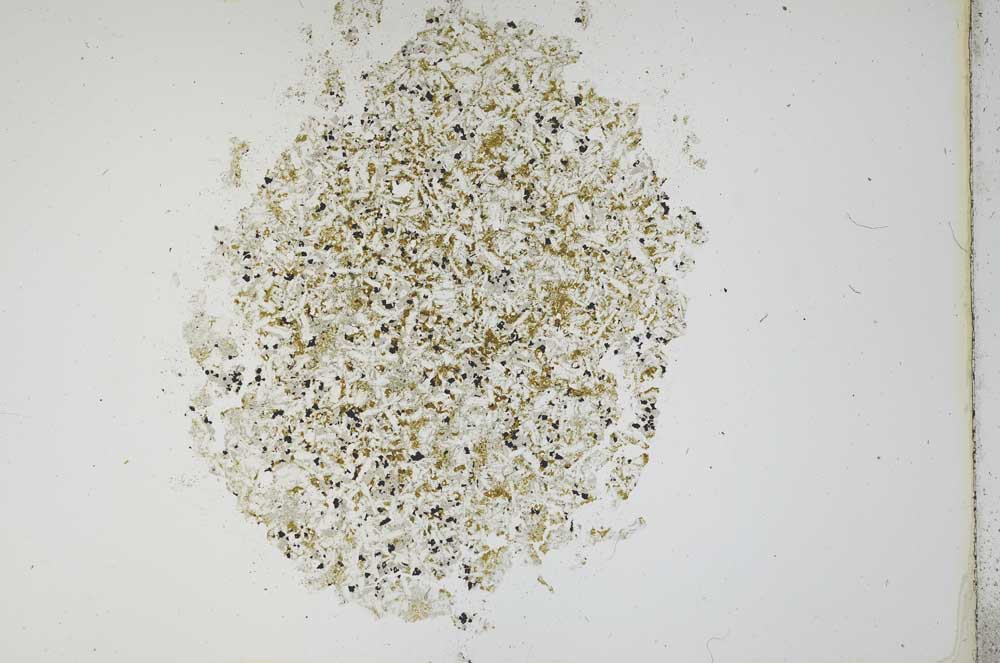 Plane Polarized, S12114