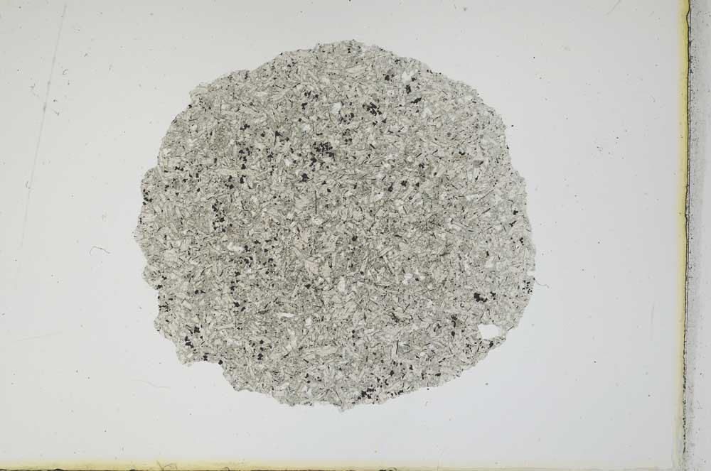 Plane Polarized, S12116