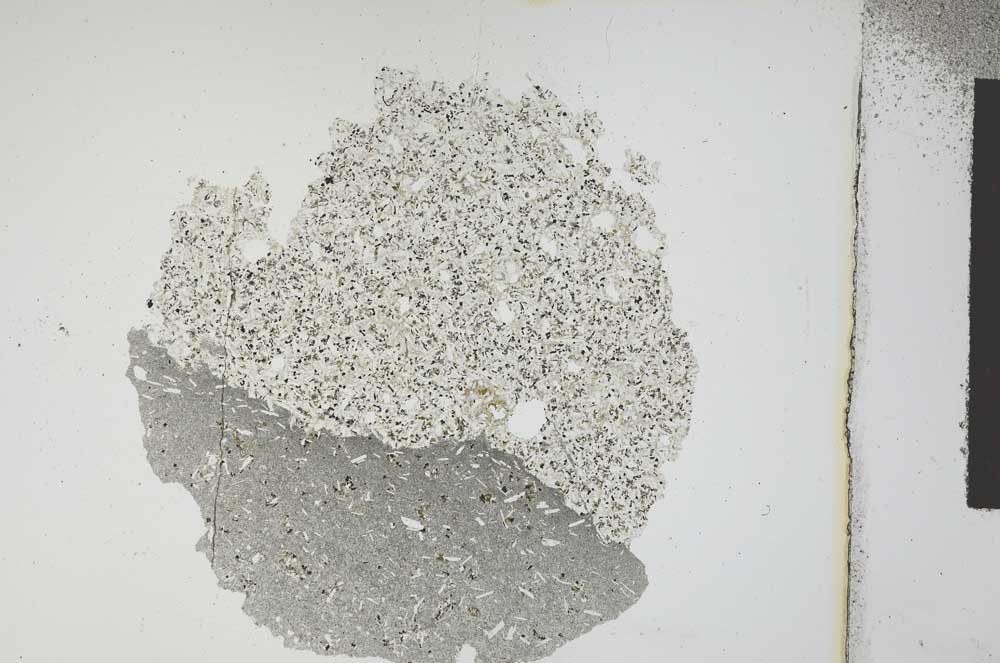 Plane Polarized, S12117