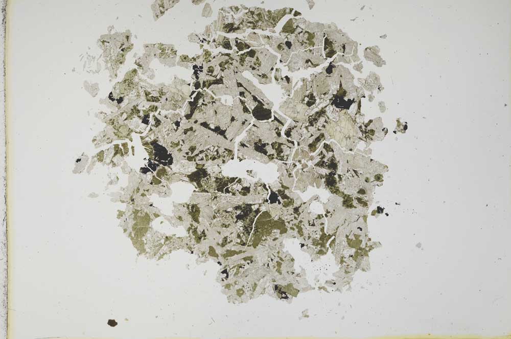 Plane Polarized, S12119