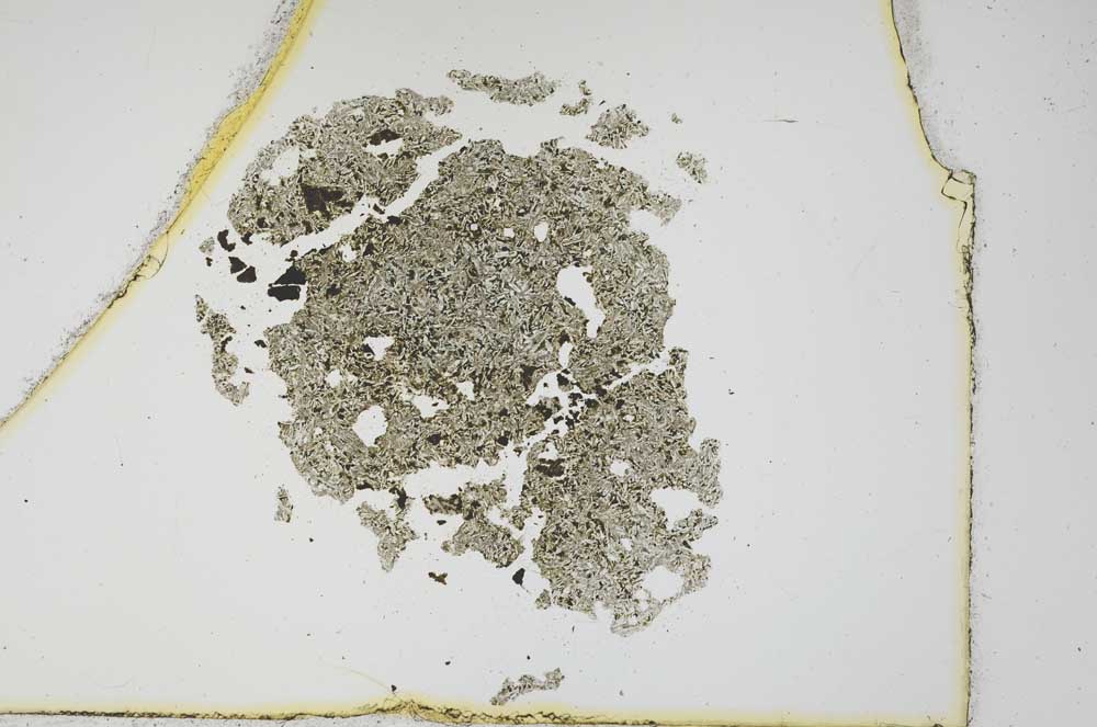 Plane Polarized, S12120