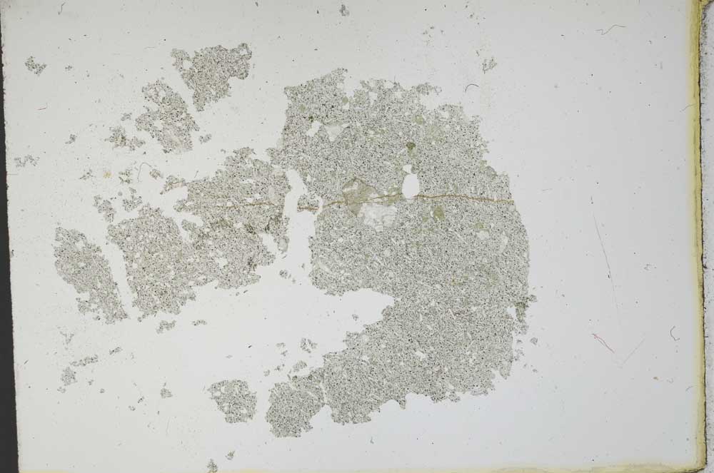 Plane Polarized, S12124