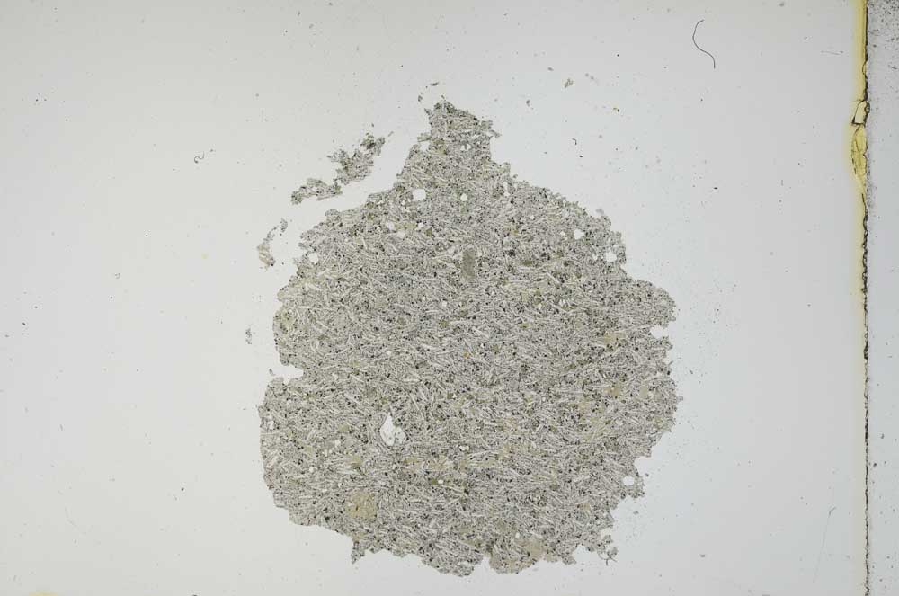 Plane Polarized, S12126