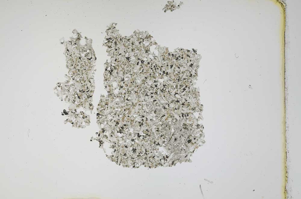 Plane Polarized, S12129