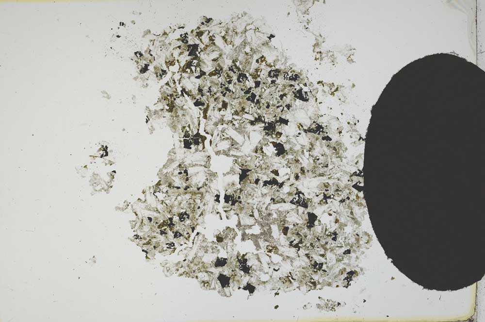 Plane Polarized, S12130