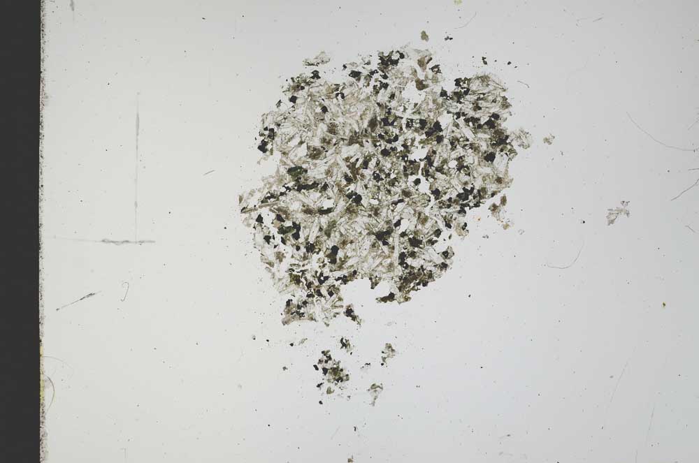 Plane Polarized, S12132