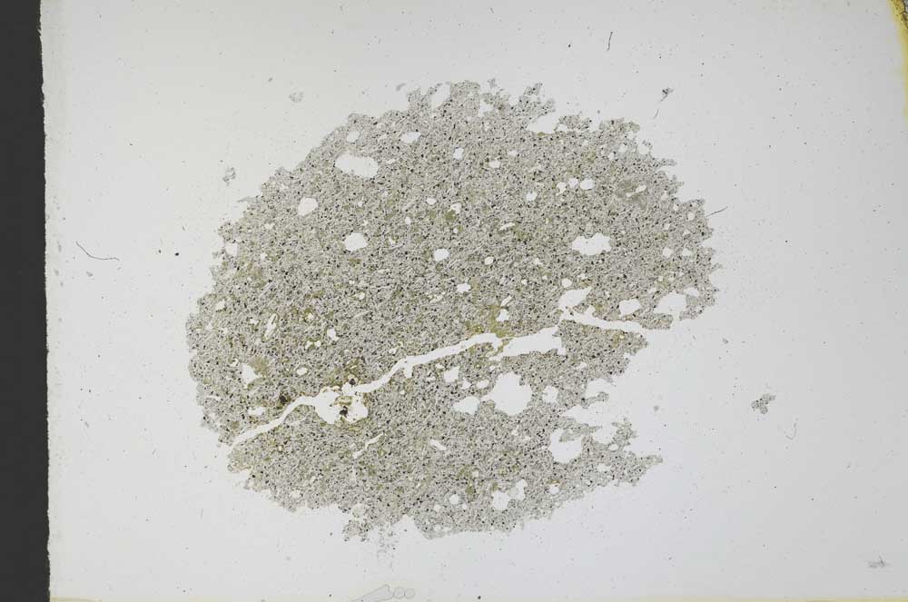 Plane Polarized, S12135