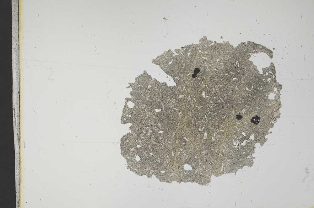 Plane Polarized, S12139