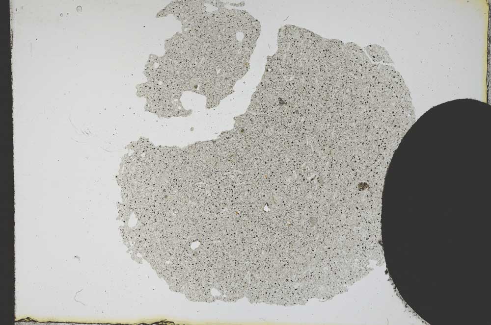 Plane Polarized, S12140