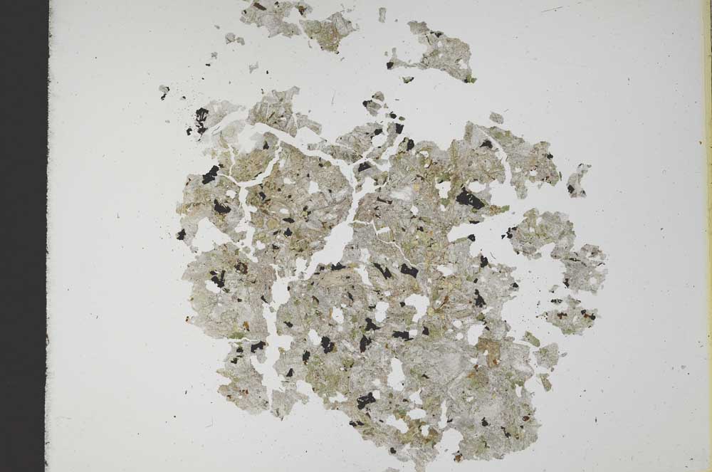 Plane Polarized, S12149