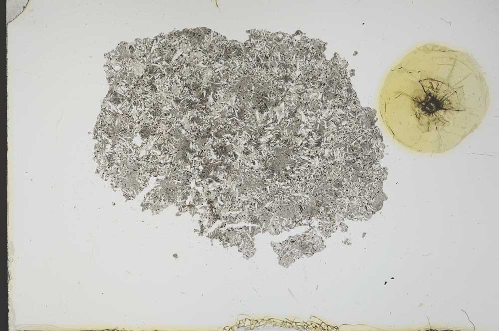 Plane Polarized, S12150