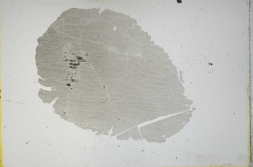 Plane Polarized, S12151