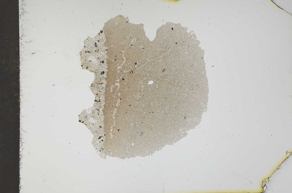 Plane Polarized, S12152