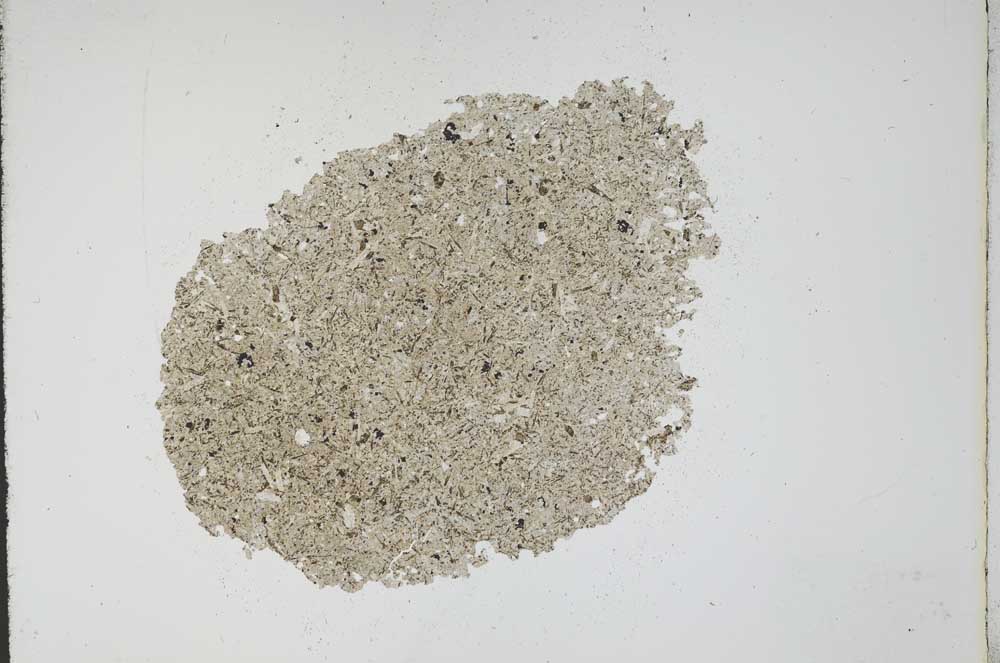 Plane Polarized, S12153/A