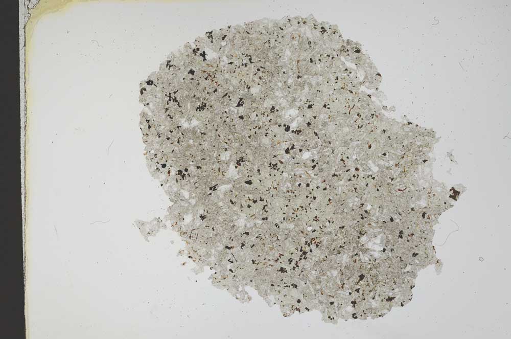 Plane Polarized, S12154