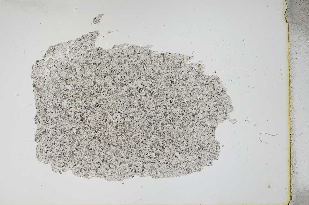 Plane Polarized, S12155