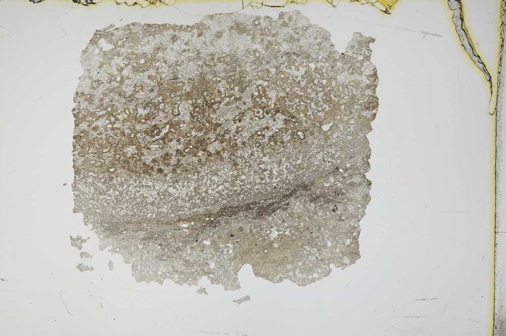 Plane Polarized, S12156