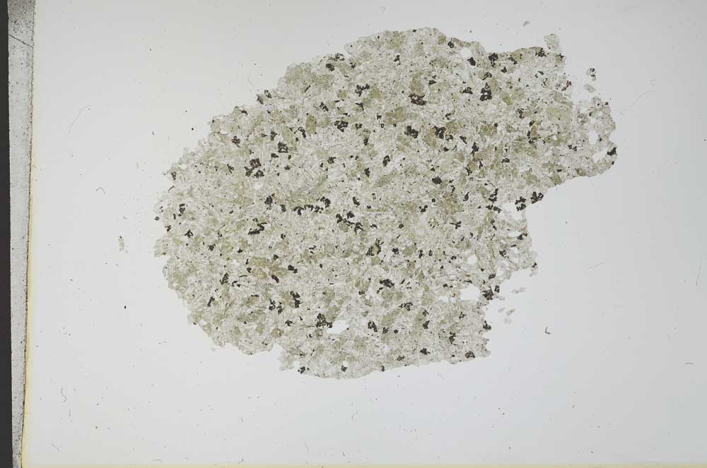 Plane Polarized, S12157