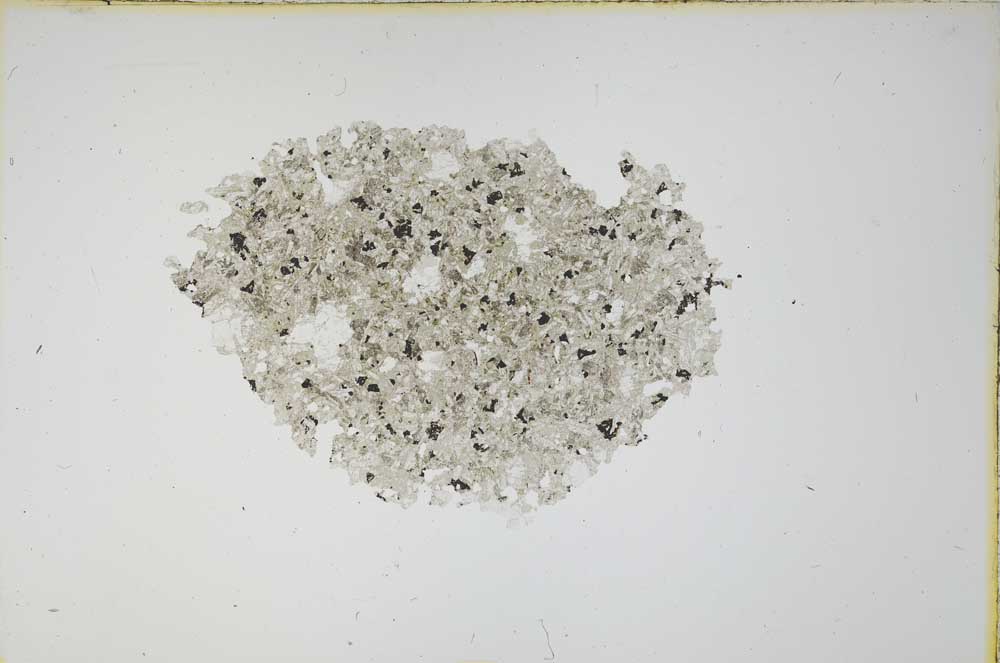 Plane Polarized, S12158