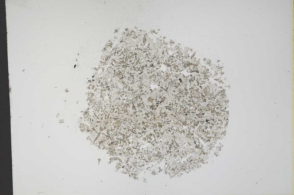 Plane Polarized, S12161