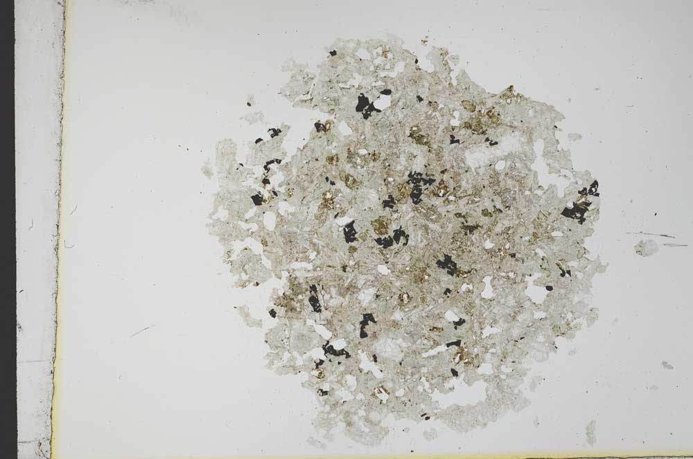 Plane Polarized, S12162