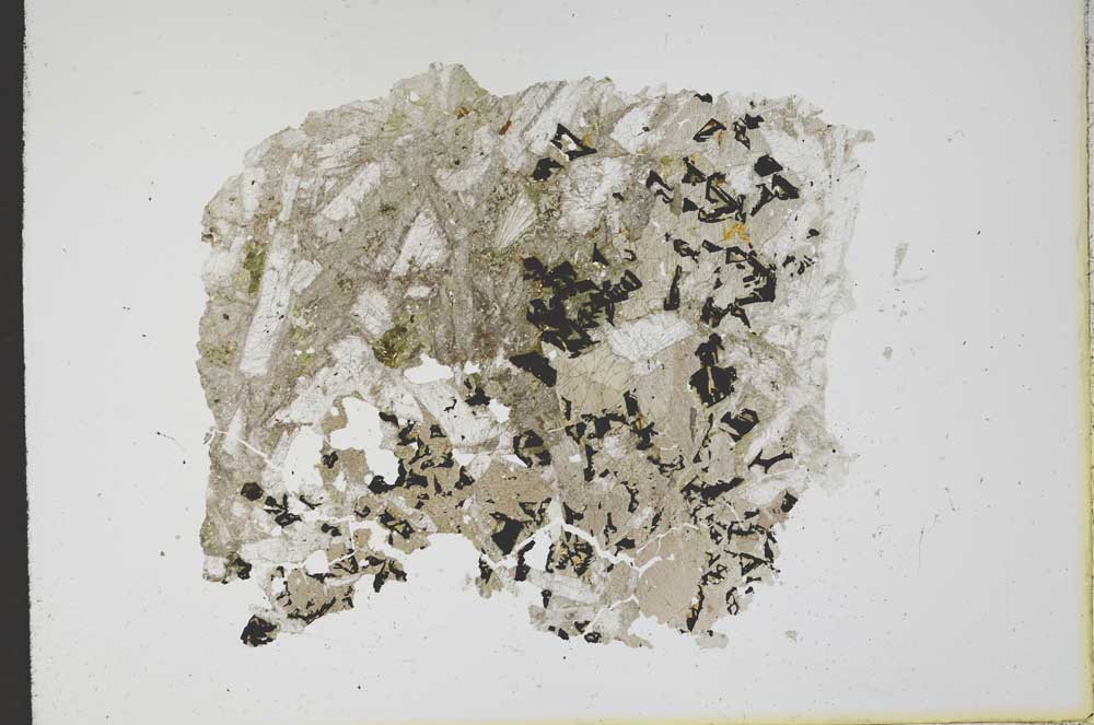 Plane Polarized, S12164