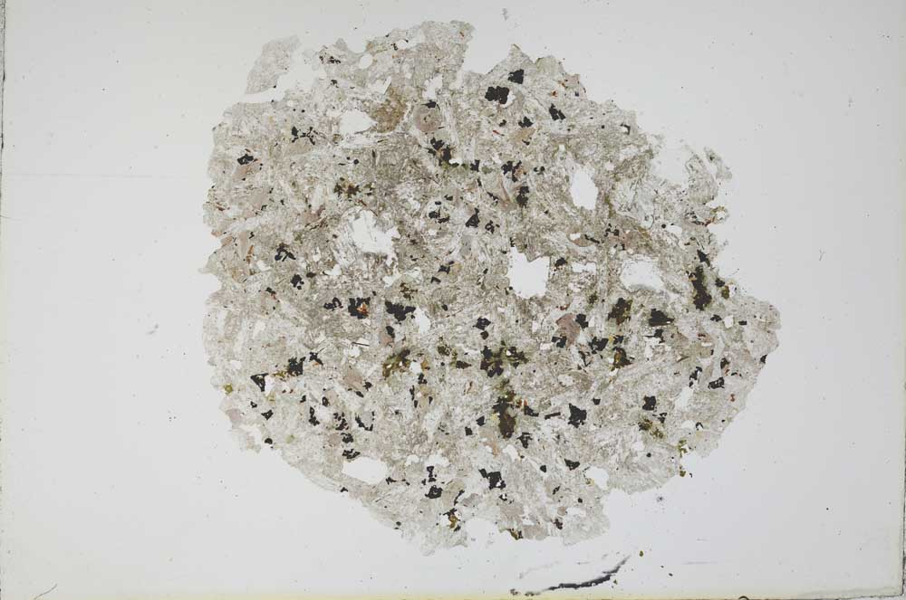 Plane Polarized, S12165