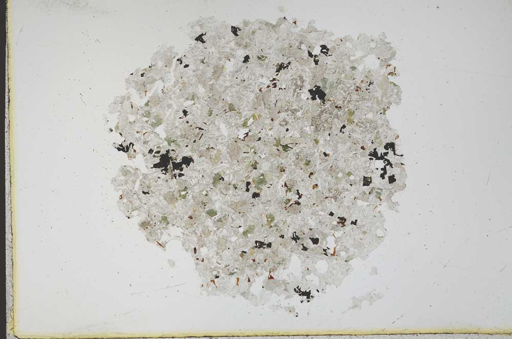 Plane Polarized, S12167