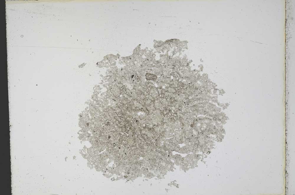 Plane Polarized, S12169