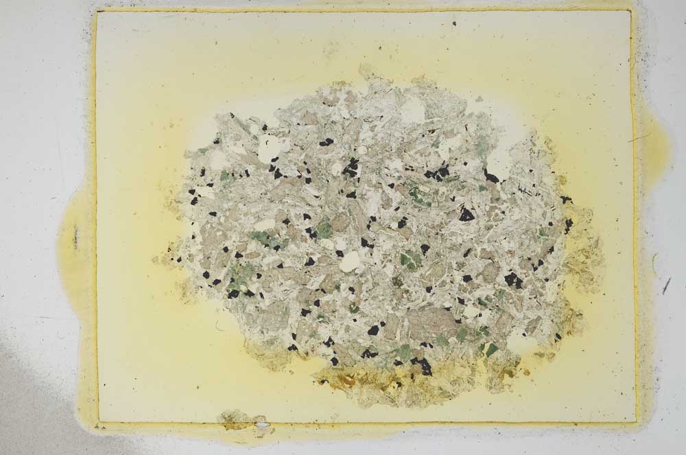 Plane Polarized, S12170