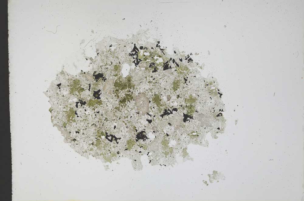 Plane Polarized, S12172