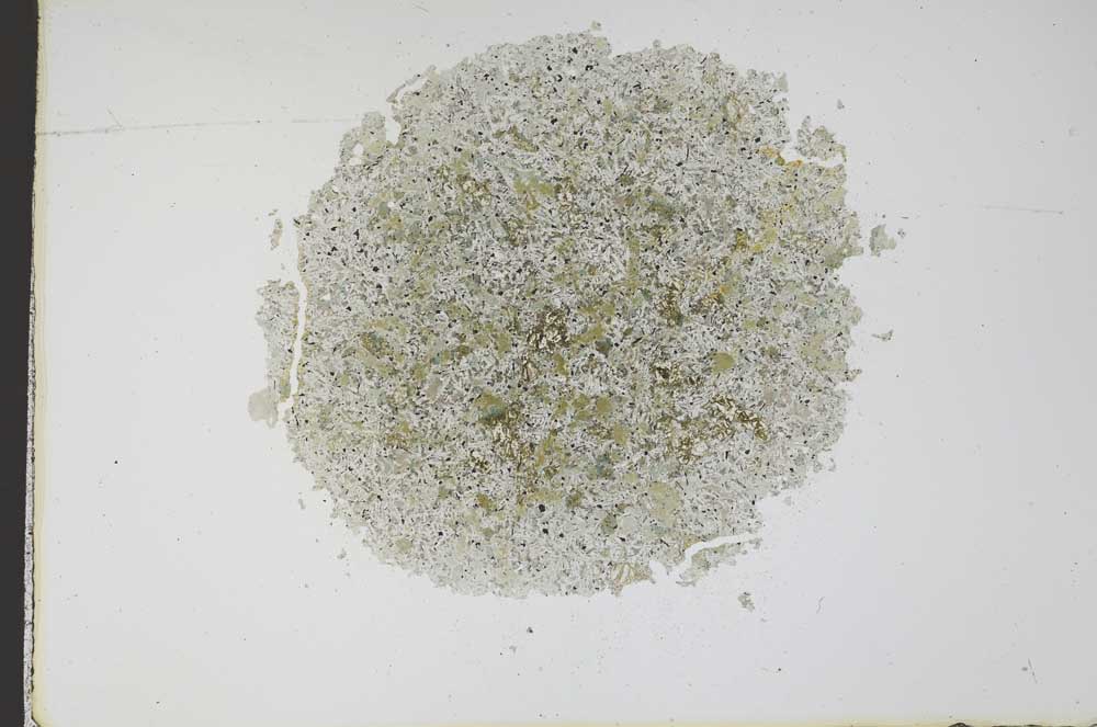 Plane Polarized, S12175
