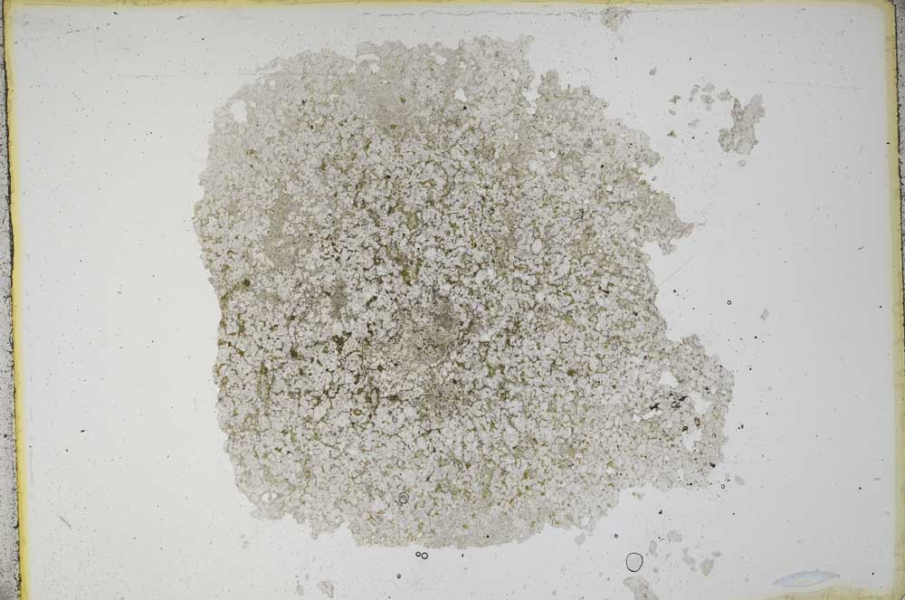 Plane Polarized, S12177