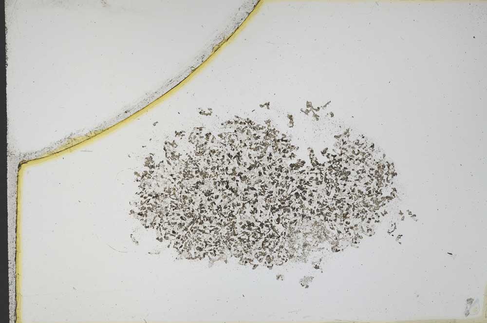 Plane Polarized, S12179