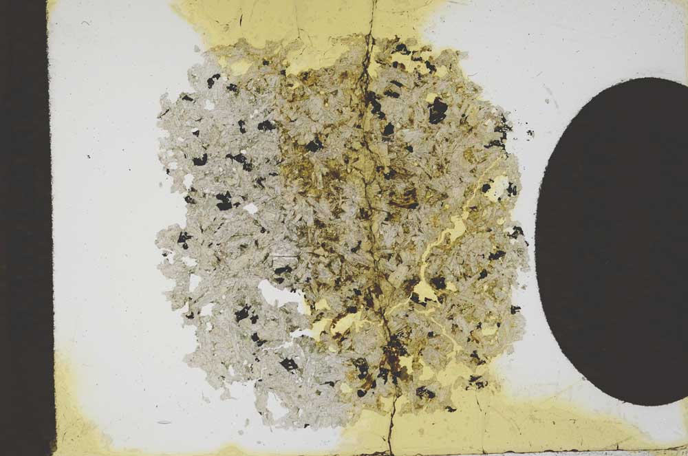 Plane Polarized, S12184