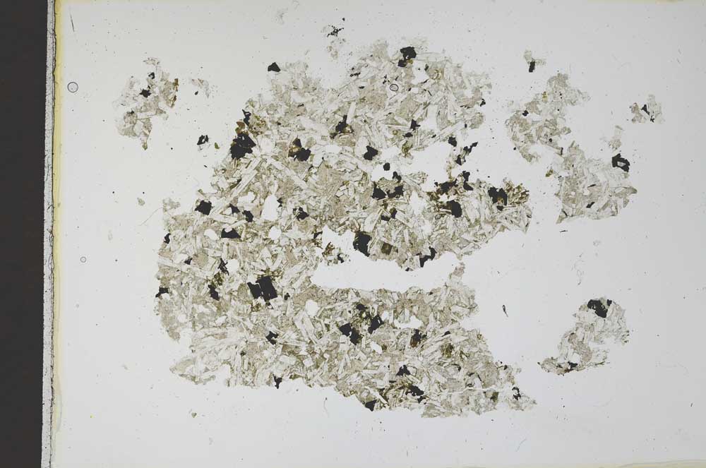Plane Polarized, S12186
