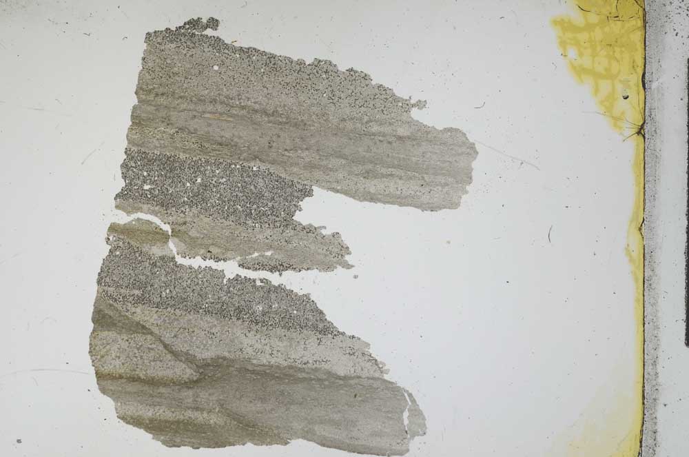 Plane Polarized, S12211