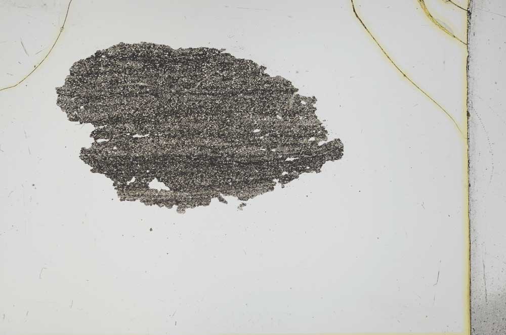 Plane Polarized, S12213