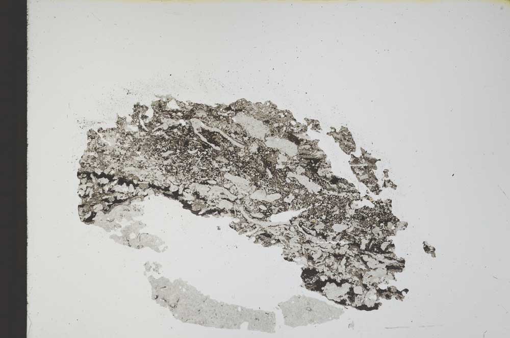 Plane Polarized, S12216