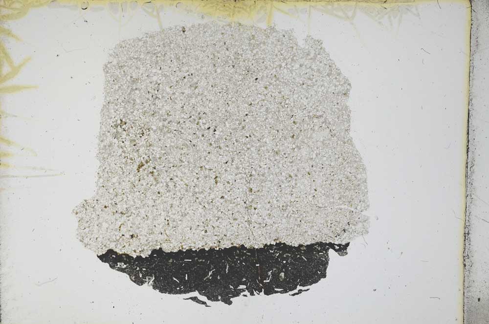 Plane Polarized, S12224