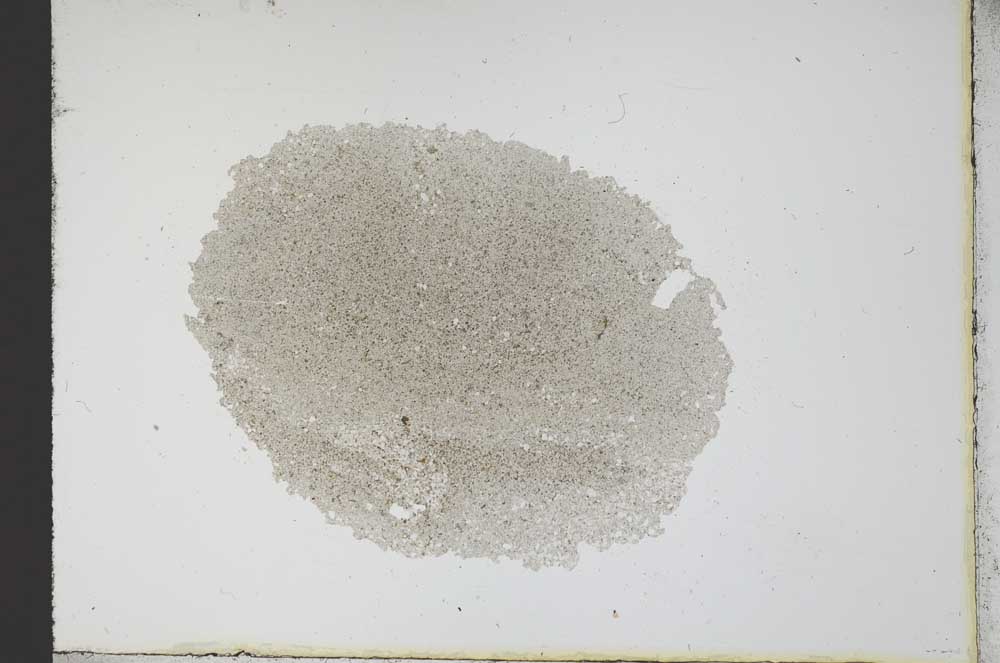 Plane Polarized, S12226