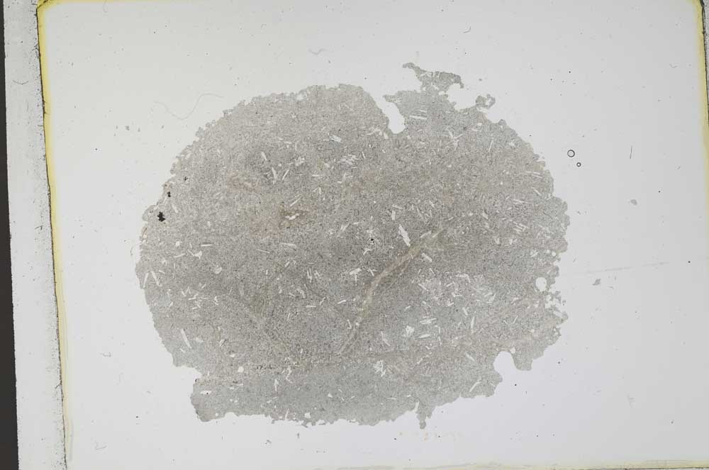 Plane Polarized, S12227