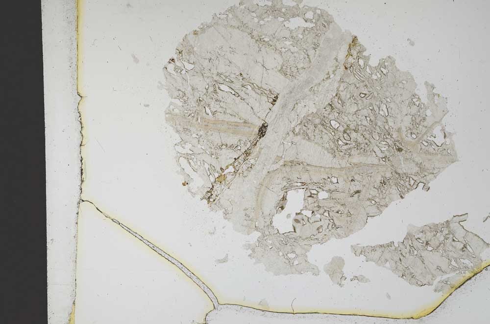 Plane Polarized, S12259